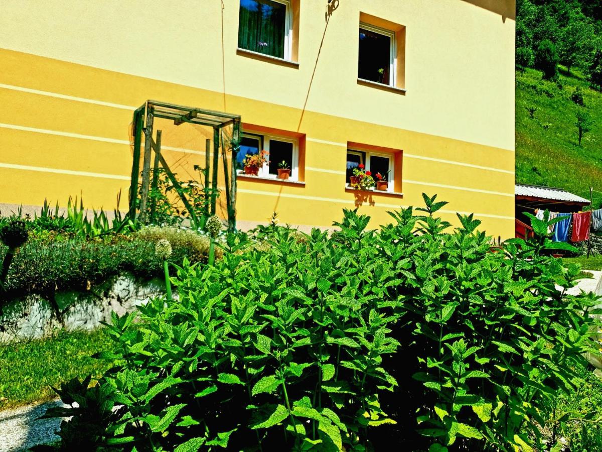 Apartment And Garden House Among The Mountains Podbrdo المظهر الخارجي الصورة
