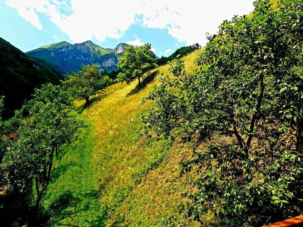 Apartment And Garden House Among The Mountains Podbrdo المظهر الخارجي الصورة